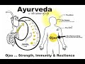 Ojas  yurveda concept of immunity strength  resilience