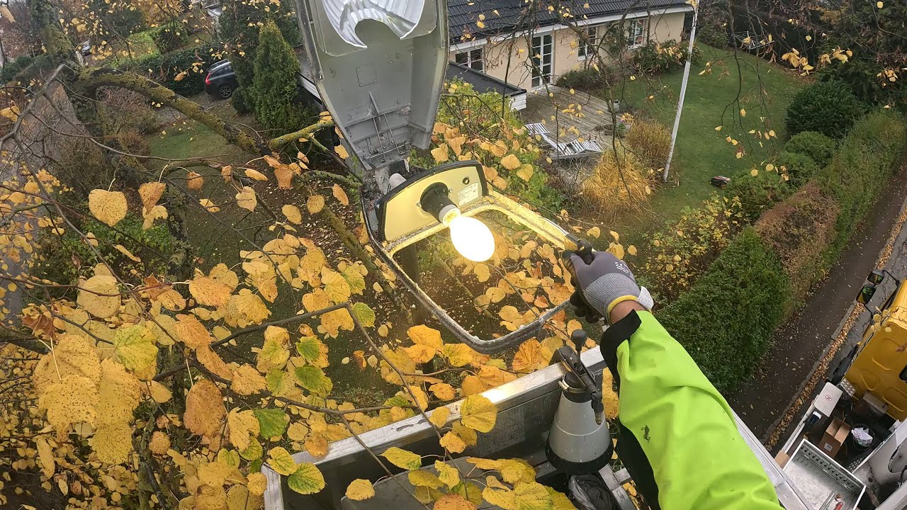 Behind the City Lights💡How We Maintain Street Lighting