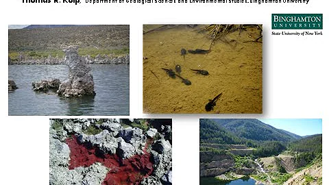 CU SRP Webinar 2-23-15: Dr. Thomas Kulp on Geomicr...