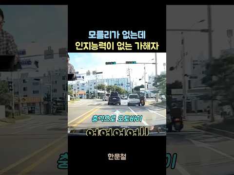인지능력이 없는 가해자 #한문철 #한문철TV