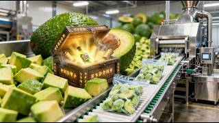 Inside a Modern Plant That Turns Fresh Avocados Into Frozen Perfection | Full Process