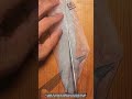 How Precision Fillet Knife Peels Fish Skin Into Ultra Clean Seamless Separation