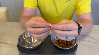 Is Proviable Worth It for Your Pet’s Gut Health? Real Results After 30 Days