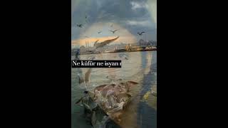 Mahsun Kırmızıgül - Canın Sağolsun