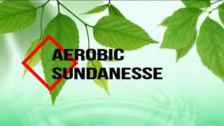 Download Lagu Aerobic Sundanesse Terbaru