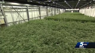 Group fighting against legalization of recreational marijuana in Oklahoma discusses future