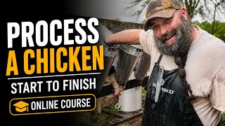 Learn How to Process a Chicken from a PROFESSIONAL Poultry Processor
