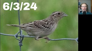 Birding at Rider Park, Rednecked Phalarope Chase to Rose Valley Lake, SGL 298, June 3rd, 2024