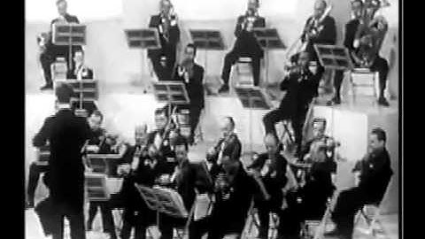 Monkey vs Robot (church of Stan)