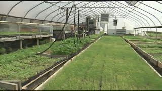 Agriculture continues growing in Massachusetts