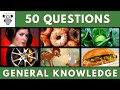 General Knowledge Quiz Trivia #228 | Princess Leia, Bagel, Brassica Plant, Tyre, Bambi, Banh Mi