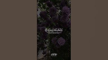 ولمن خاف مقام ربه جنتان 🥹🌸 ｜ القارئ عمر بن عبدالعزيز 🎙