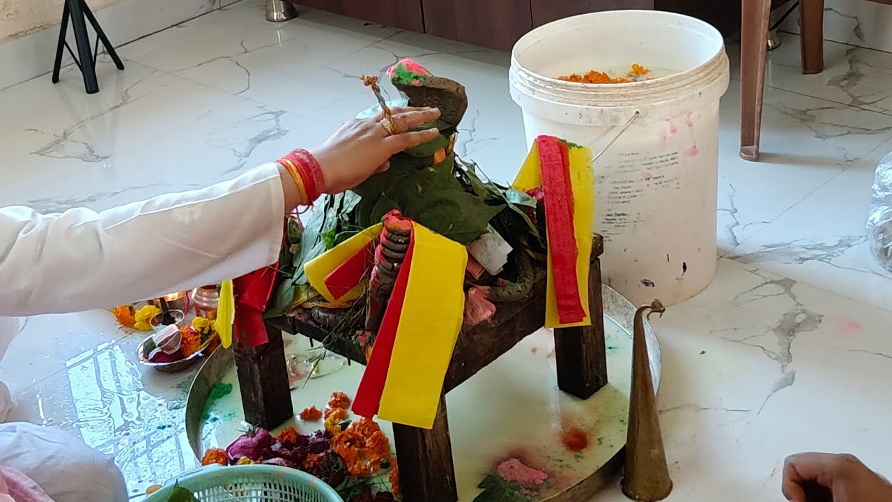 Apoorva Tiwari is live shivratri special rudrabhishek live