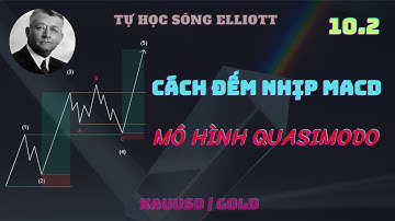 CÁCH ĐẾM NHỊP MACD ĐỂ XÁC ĐỊNH  SÓNG