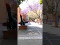 INSIDE TUKS, Pretoria!  #universityofpretoria