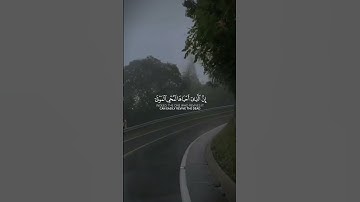 القارئ ماهر المعيقلي ﴿ومن آياته أنك ترى الأرض خاشعة﴾ سورة فصلت 39