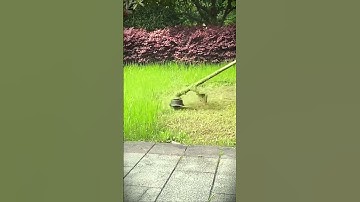 easy way to tidy up a garden full of grass using a mower #shorts