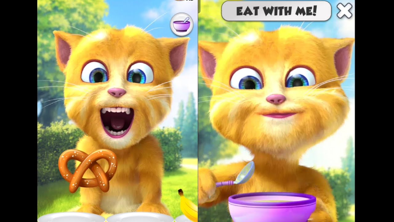 Talking Ginger 2 Eat food with me 🍕🍒🍊🥭🍔🍜🥣 viral trending shorts 