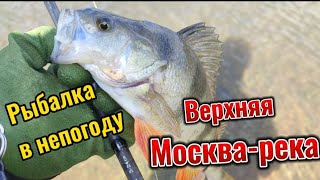 Верхняя Москва-река. Рыбалка в непогоду. Прогулка по реке. #fishing #красота #отдых #реки #щука