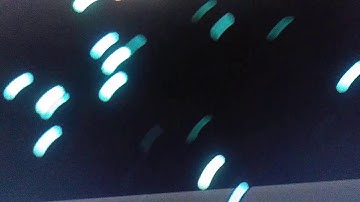 New System Software Update! Version 7.51