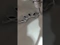 ceramic carving process #shorts