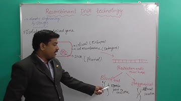 PART 1- Recombinant DNA technology Process- Two stages- CNU
