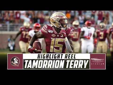 Florida State WR Tamorrion Terry Highlight Reel - 2019 Season | Stadium