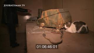 Inside Gaddafi's Bunker