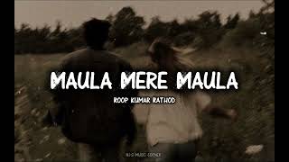 Maula Mere Maula || Anwar [2007] || Slowed +Reverb || NJ's Music Corner