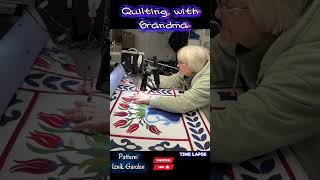 Whatcha Doing Grandma? Iznic Garden Time Lapse Dear