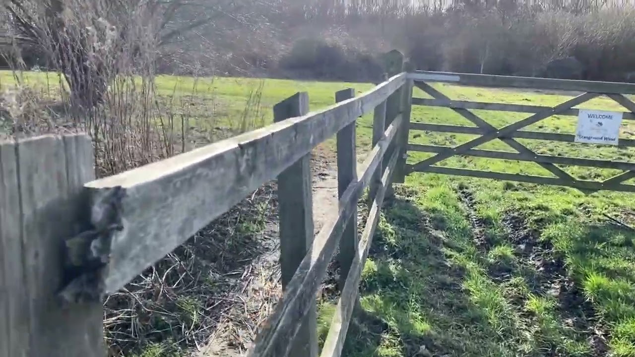 Peterborough, UK: A trip to Stanground Woods 