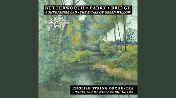 Suite For String: III. Nocturne