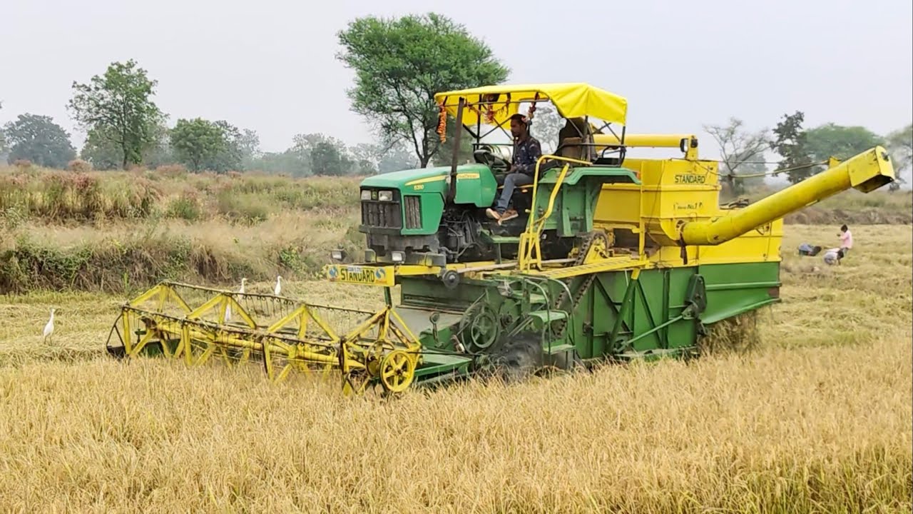 🌾Aaj Hamare Khet Me Dhan Katai 🌾 #dhankatai  #farminglife #khetibadi #villagevlog #IndianFarmer 