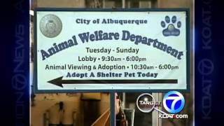 Target 7 probes city s leave policies