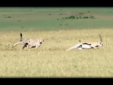 Best motivation status video inspirational status video