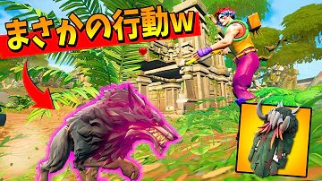 フォトナ狼出現場所 Mp3