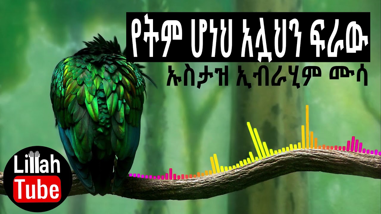 የትም ሆነህ አላህን ፍራ ኡስታዝ ኢብራሂም ሙሳ ¶ UstazIbrahim Musa