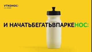 И РИБАЙНОС, И ВСЕНАКАЖДЫЙДЕНЬНОС! Утконос ОНЛАЙН 2020