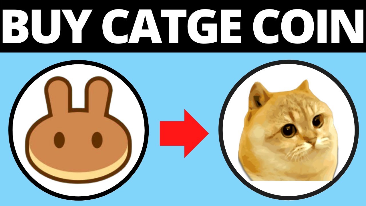 How To Buy Catge Coin On PancakeSwap