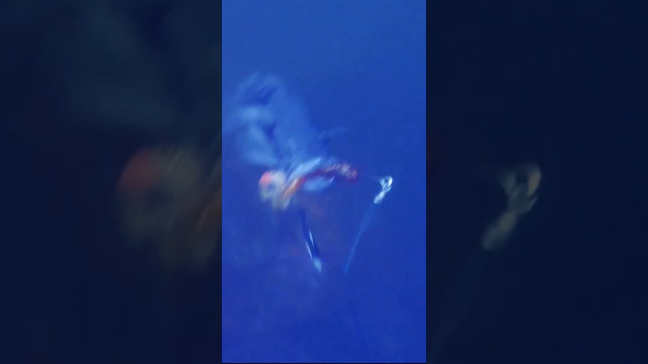 Hungry Rockfish! 🐟 🎣 