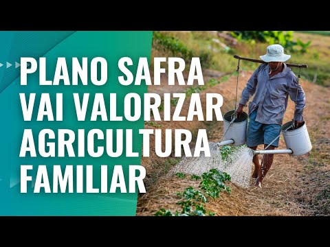 Plano Safra: como obter mais crédito?