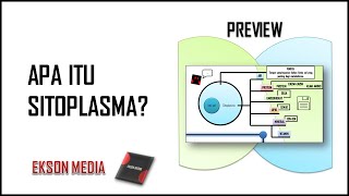 Apa itu Sitoplasma | Biologi XI MIPA SMA