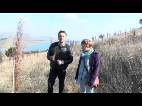 FactCheck TV ― ნარმანია: თბილისში ნახევარი მილიონი ხე უკვე დაირგო