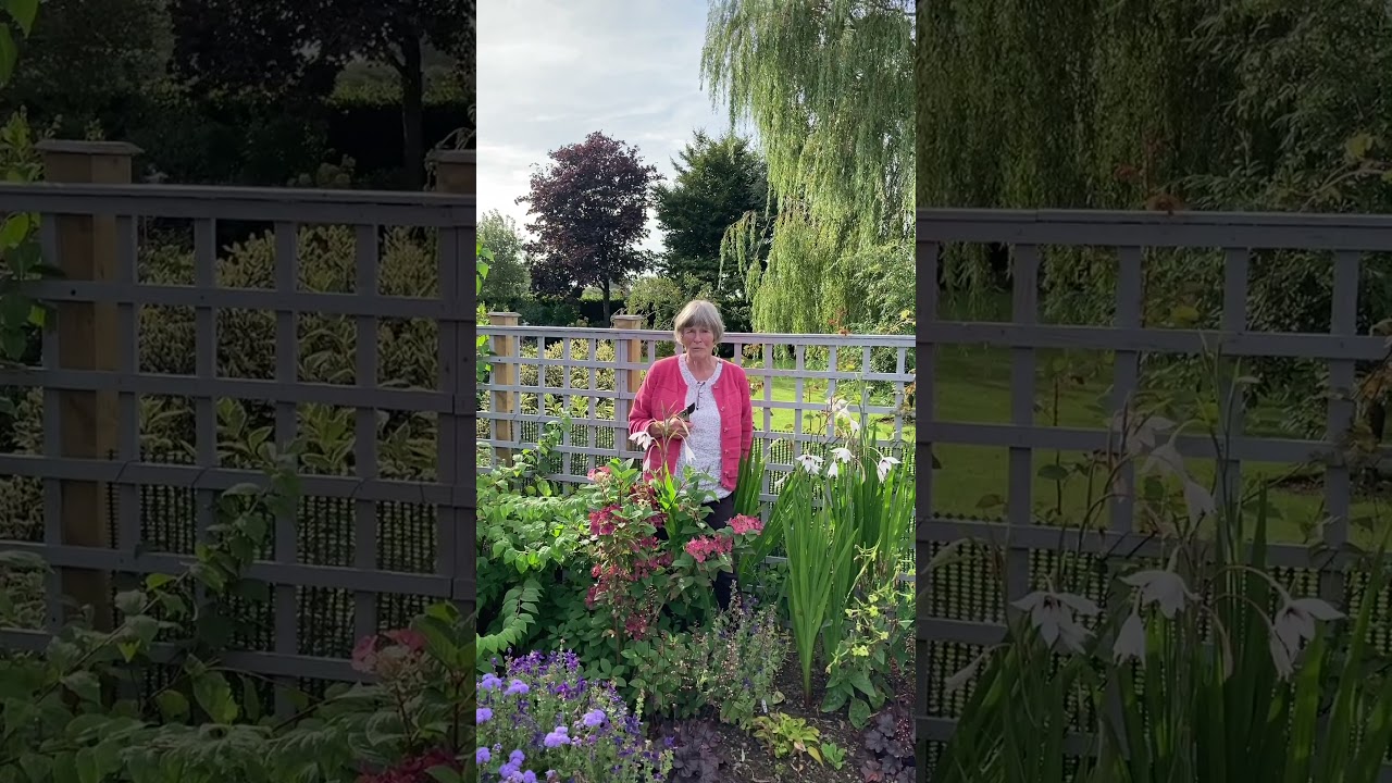 Visit our 'by arrangement' gardens