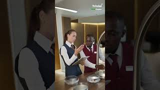 Trivial Chapter – Your Complete Europe Job Support | Work &amp; Settle Abroad 🌍