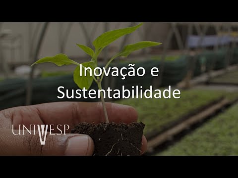 Vídeo: O que é inovação e sustentabilidade?