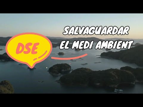 Salvaguardar el medi ambient _ Doctrina Social de l&rsquo;Esglesia