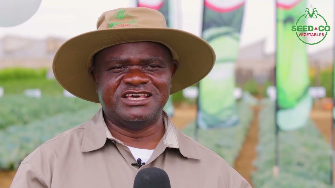 Seed Co Vegetables New Varieties Launch