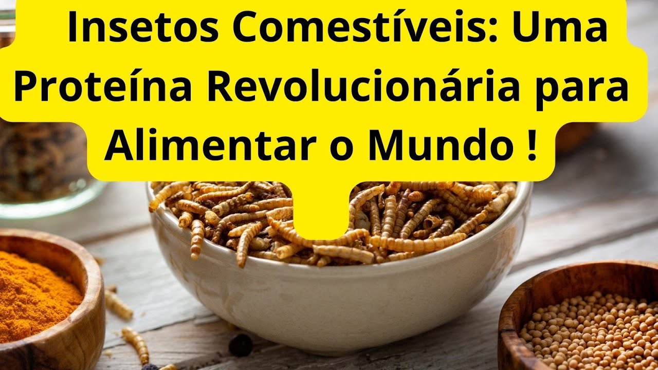 Insetos Comestíveis: Uma Proteína Revolucionária para Alimentar o Mundo ...