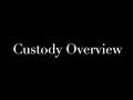 Florida Child Custody Overview. Can I Get Custody?